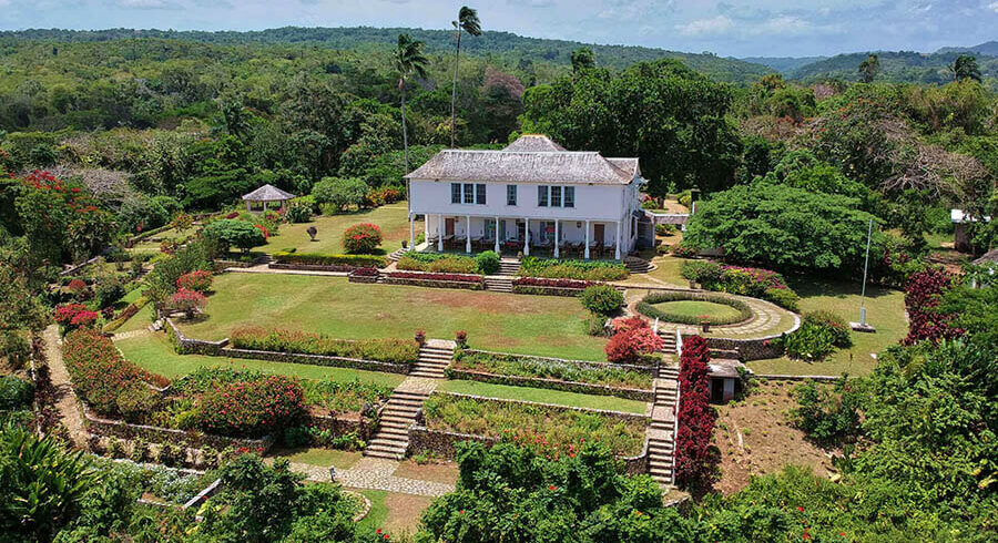 Luminous Lagoon Jamaica
